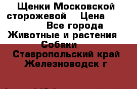 Щенки Московской сторожевой  › Цена ­ 25 000 - Все города Животные и растения » Собаки   . Ставропольский край,Железноводск г.